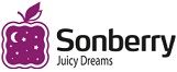 Мебель. Фабрики Sonberry. Игра